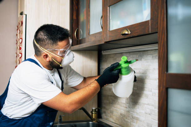 Reliable Lincoln Park, PA Pest Control Solutions