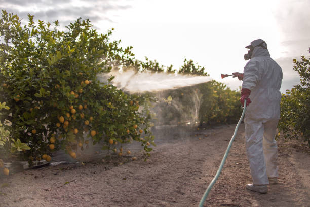 Best Insect Control  in Lincoln Rk, PA