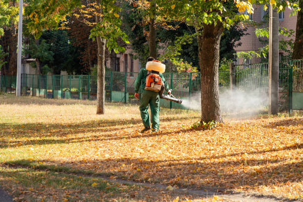 Best Local Pest Control Services  in Lincoln Rk, PA