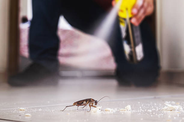 Pest Prevention Services in Lincoln Park, PA